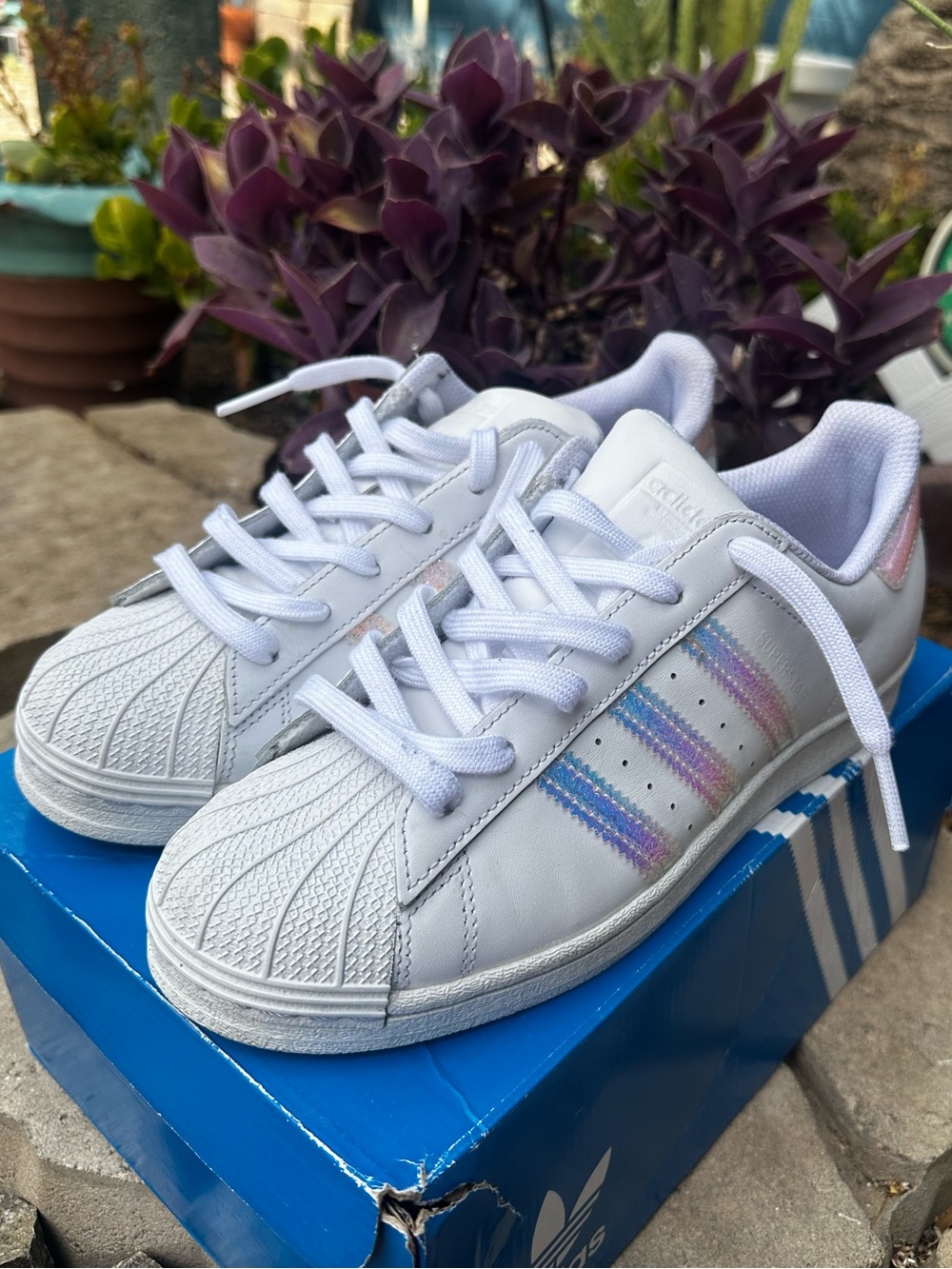 Adidas Superstar White with Iridescent Three Stripes - Picture 4 of 5